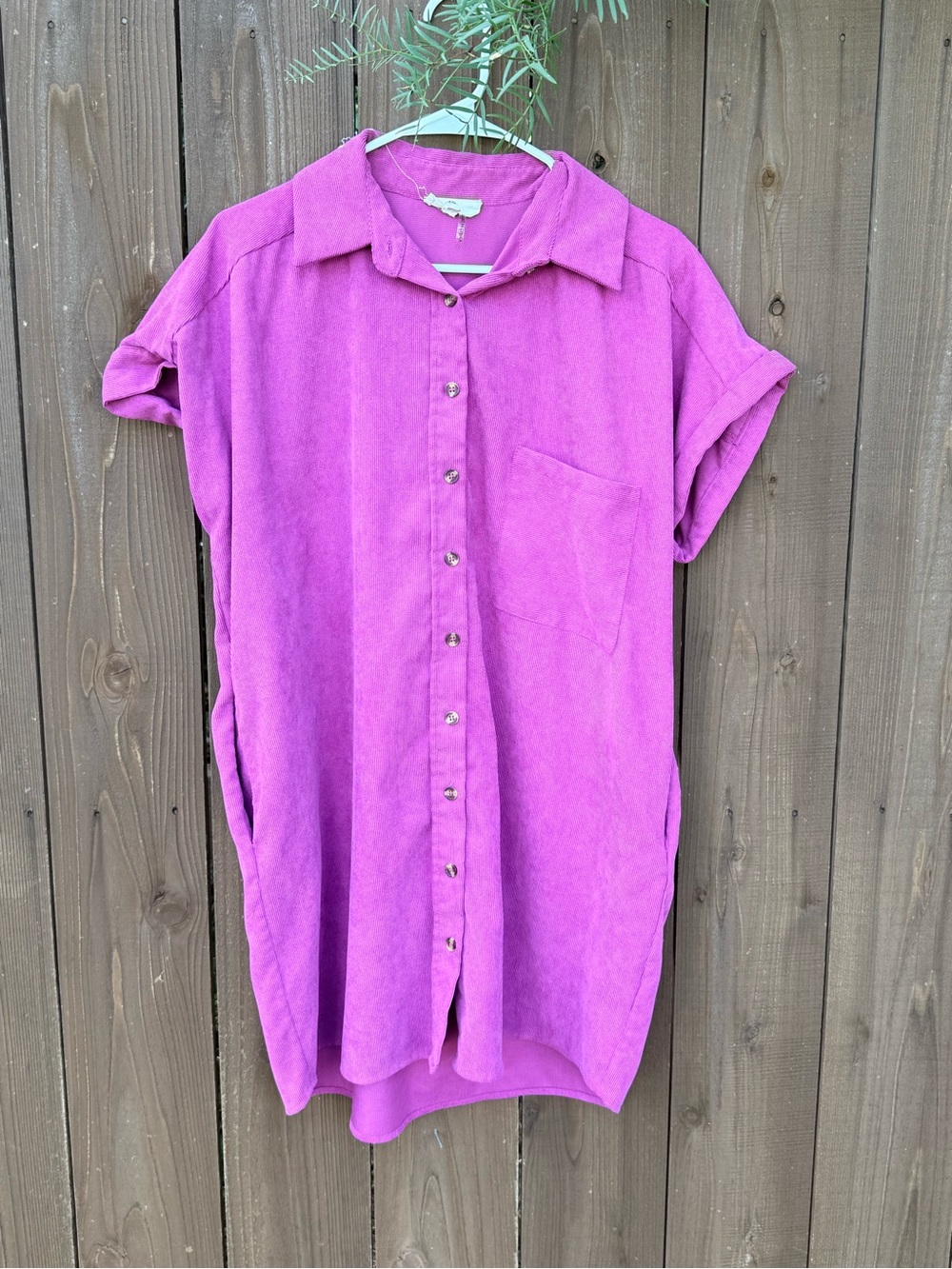 Entro Button-Up Dress